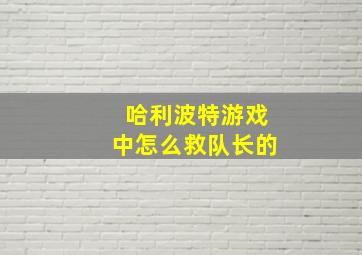 哈利波特游戏中怎么救队长的