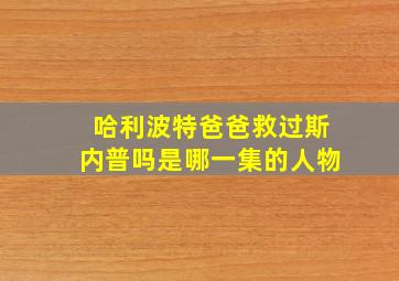 哈利波特爸爸救过斯内普吗是哪一集的人物