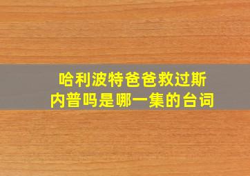 哈利波特爸爸救过斯内普吗是哪一集的台词