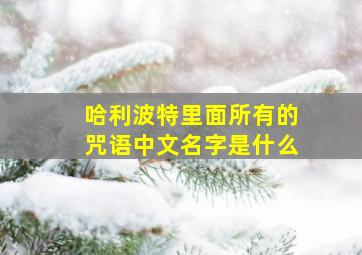 哈利波特里面所有的咒语中文名字是什么