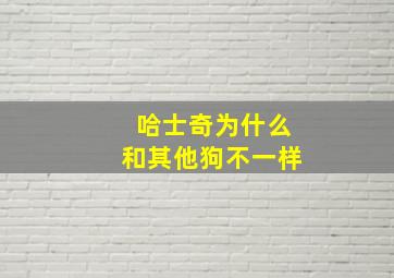 哈士奇为什么和其他狗不一样