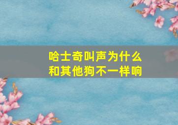 哈士奇叫声为什么和其他狗不一样响