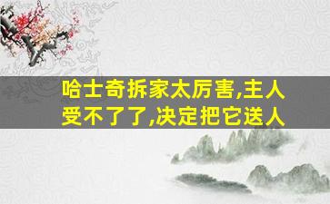 哈士奇拆家太厉害,主人受不了了,决定把它送人