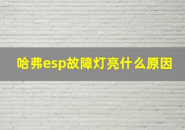 哈弗esp故障灯亮什么原因