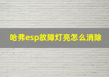 哈弗esp故障灯亮怎么消除