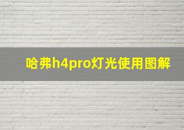 哈弗h4pro灯光使用图解