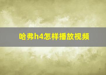 哈弗h4怎样播放视频