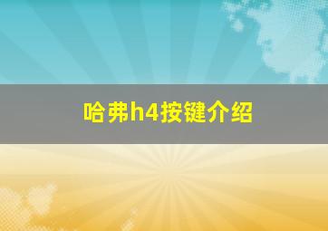 哈弗h4按键介绍