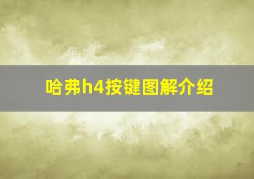 哈弗h4按键图解介绍