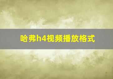 哈弗h4视频播放格式