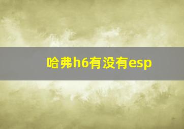 哈弗h6有没有esp