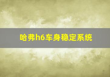 哈弗h6车身稳定系统