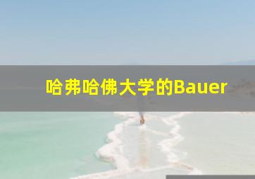 哈弗哈佛大学的Bauer