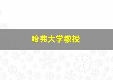 哈弗大学教授