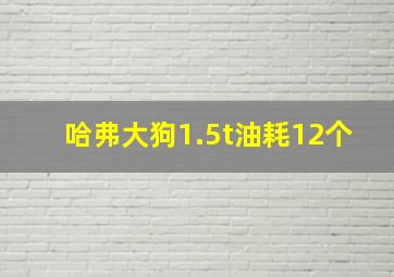 哈弗大狗1.5t油耗12个