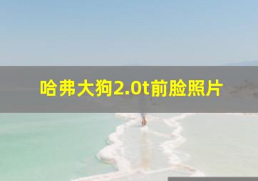 哈弗大狗2.0t前脸照片