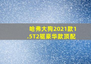 哈弗大狗2021款1.5T2驱豪华款顶配