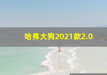 哈弗大狗2021款2.0