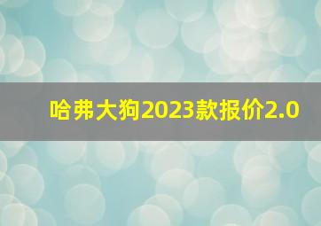 哈弗大狗2023款报价2.0