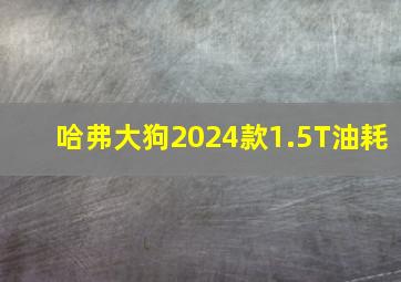 哈弗大狗2024款1.5T油耗