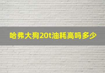 哈弗大狗20t油耗高吗多少