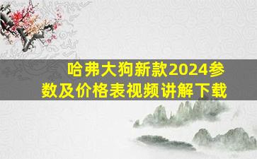 哈弗大狗新款2024参数及价格表视频讲解下载