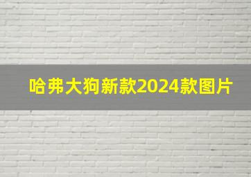 哈弗大狗新款2024款图片