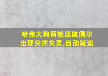 哈弗大狗智能巡航偶尔出现突然失灵,自动减速