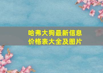 哈弗大狗最新信息价格表大全及图片