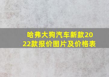 哈弗大狗汽车新款2022款报价图片及价格表