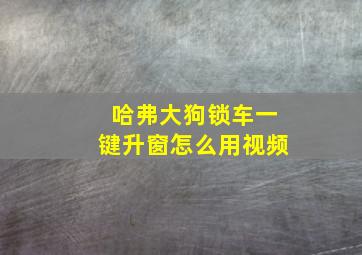 哈弗大狗锁车一键升窗怎么用视频