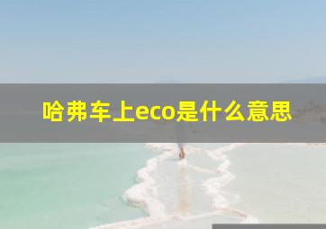 哈弗车上eco是什么意思