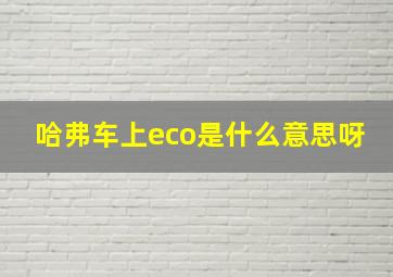 哈弗车上eco是什么意思呀