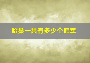 哈桑一共有多少个冠军