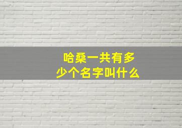 哈桑一共有多少个名字叫什么