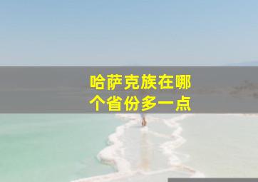 哈萨克族在哪个省份多一点