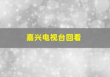 嘉兴电视台回看