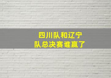 四川队和辽宁队总决赛谁赢了