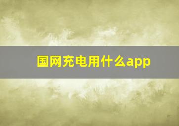 国网充电用什么app