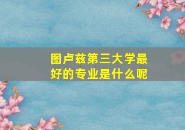 图卢兹第三大学最好的专业是什么呢