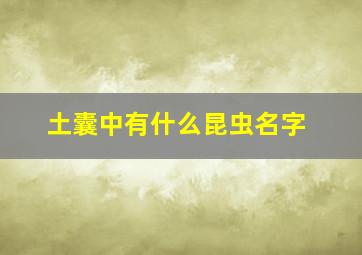 土囊中有什么昆虫名字