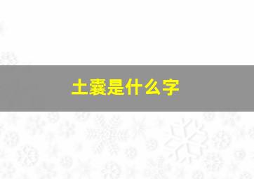 土囊是什么字