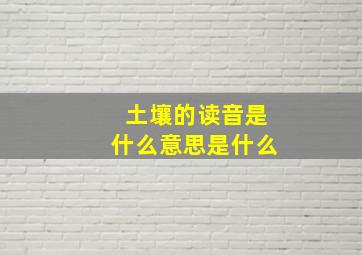 土壤的读音是什么意思是什么