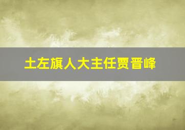 土左旗人大主任贾晋峰