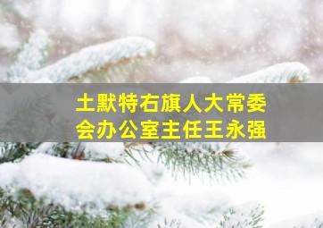 土默特右旗人大常委会办公室主任王永强