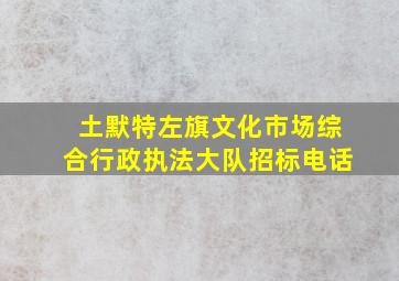 土默特左旗文化市场综合行政执法大队招标电话