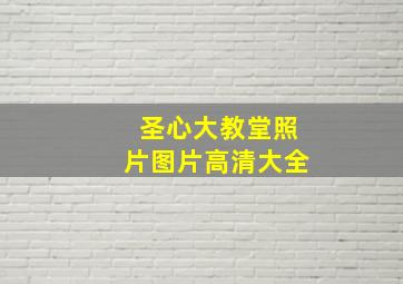 圣心大教堂照片图片高清大全