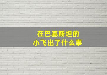 在巴基斯坦的小飞出了什么事