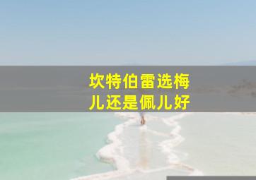 坎特伯雷选梅儿还是佩儿好