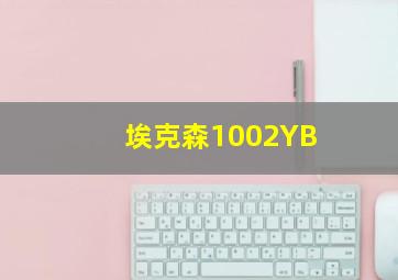 埃克森1002YB